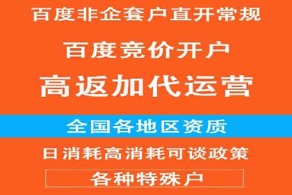 某知名企业SEM主管的成长之路